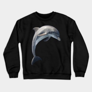 delfin Crewneck Sweatshirt